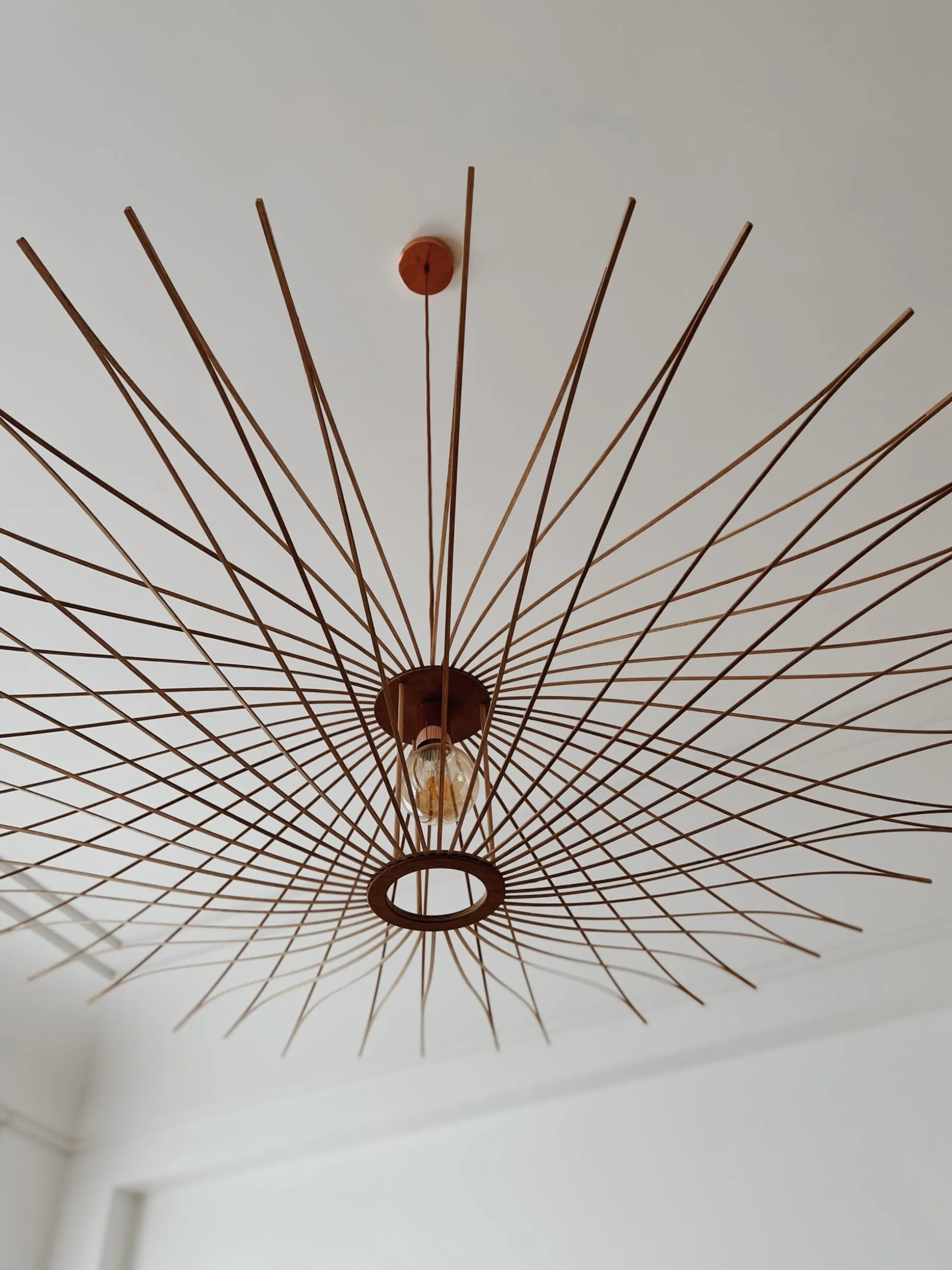 Luminaire Suspension Design